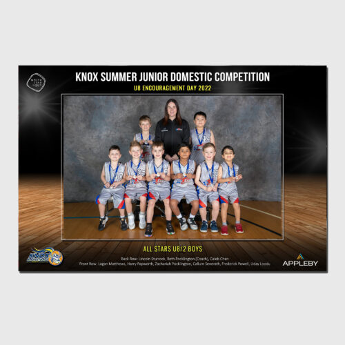 Knox GF Domestic Team Print
